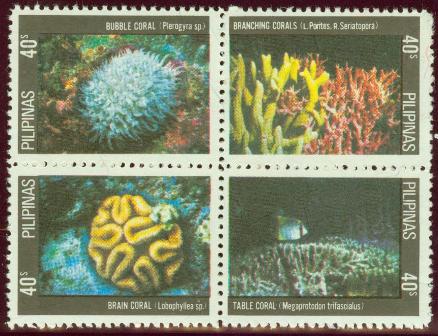 Corals.jpg